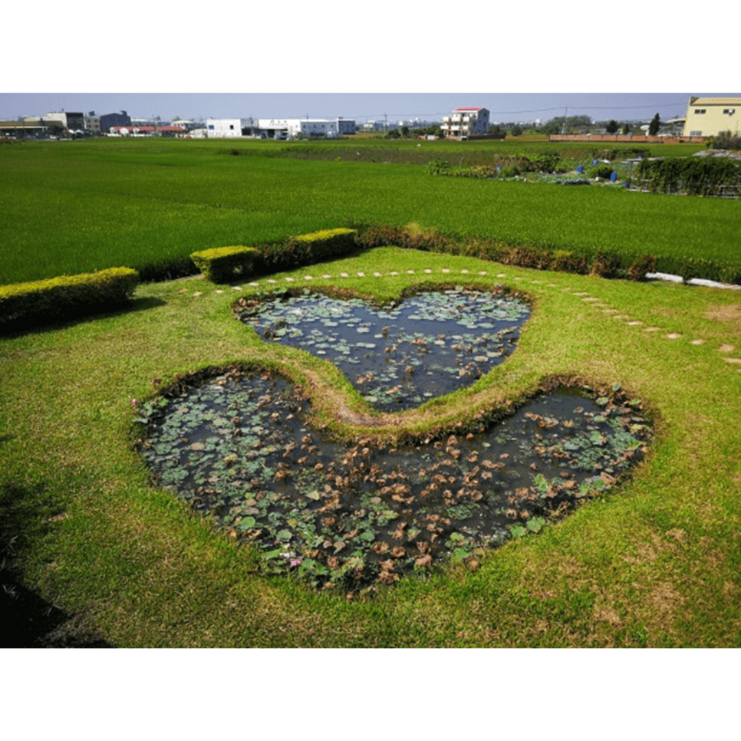 Double-Heart Pond