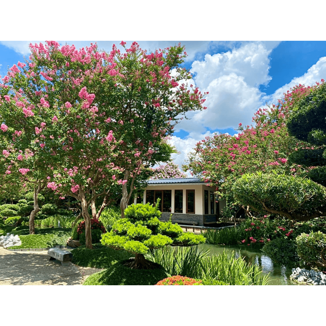 台灣銘園庭園美術館 (2)